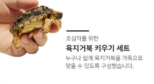 세트상품01