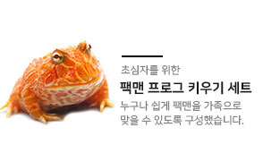 세트상품02