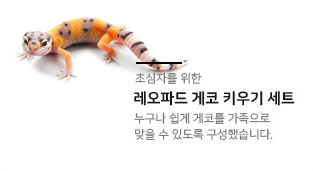 세트상품03
