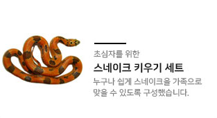 세트상품04